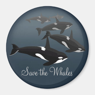 Orca Fridge Magnet Custom Killer Whale Art Magnet