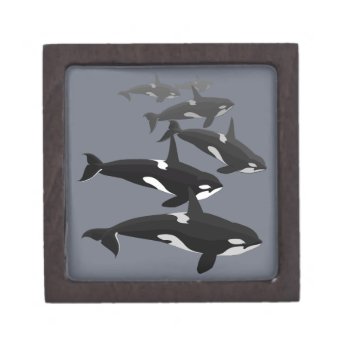 Orca Gift Box Personalize Killer Whale Jewelry Box by artist_kim_hunter at Zazzle