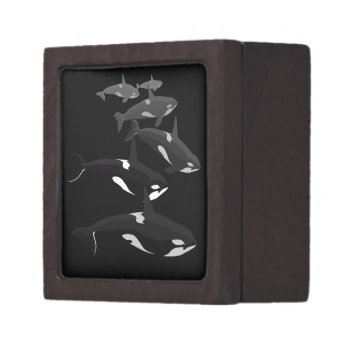 Orca Gift Box Personalize Killer Whale Jewelry Box by artist_kim_hunter at Zazzle