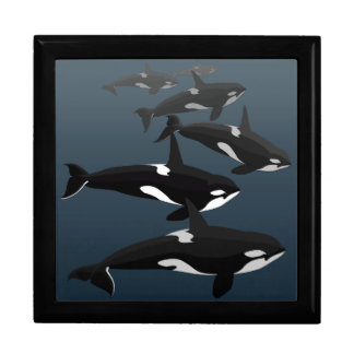 Orca Gift Box Personalize Killer Whale Jewelry Box