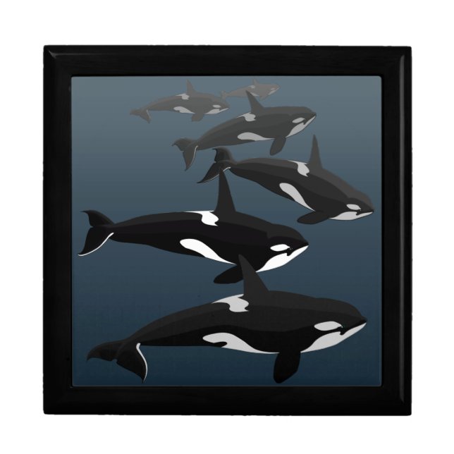 Orca Gift Box Personalize Killer Whale Jewelry Box (Front)