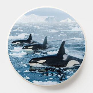 Orca Haven PopSocket