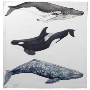 Orca, humpback whale and gray whale cloth napkin