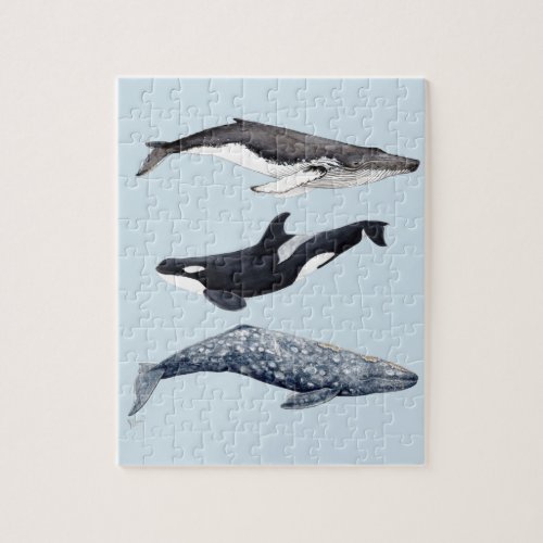 Orca hunchbacked whale and gray whale jigsaw puzzle
