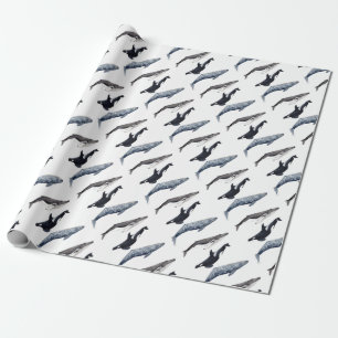 Orca, hunchbacked whale and gray whale wrapping paper