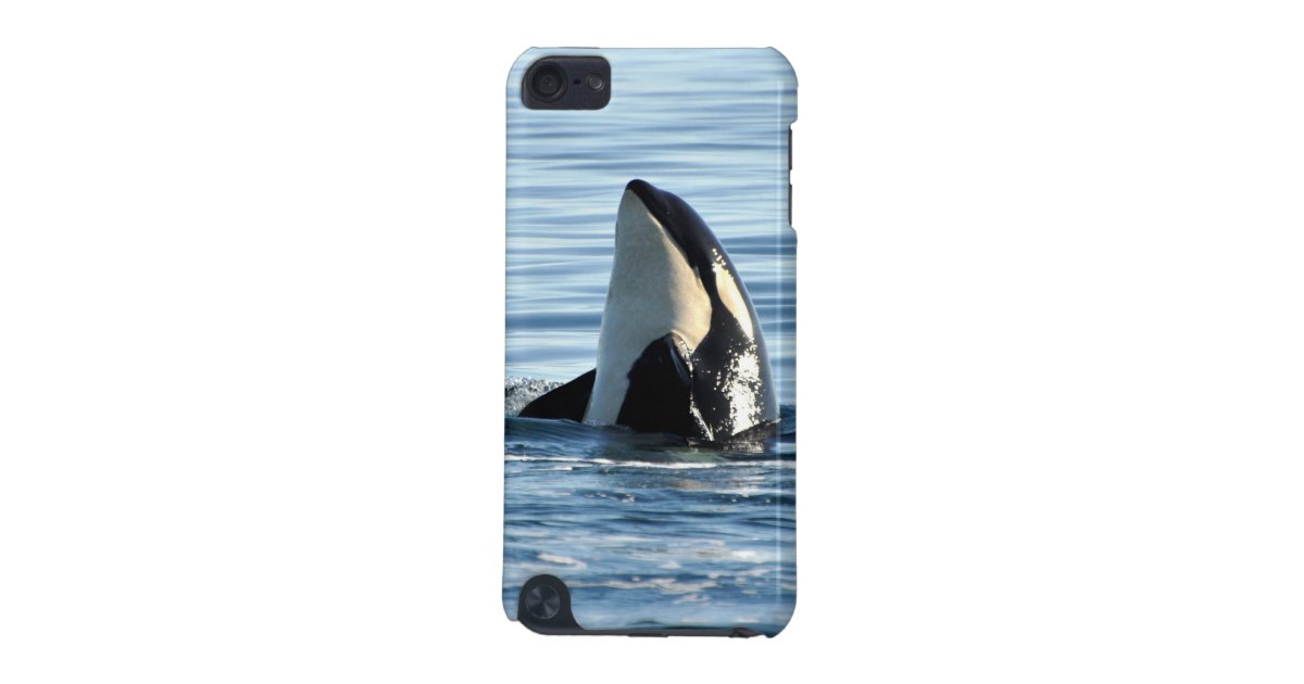 Orca iPod Touch Case | Zazzle