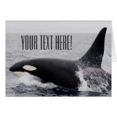 Orca Killer Whale Breaching Surface Custom Text Cards (Front Horizontal)