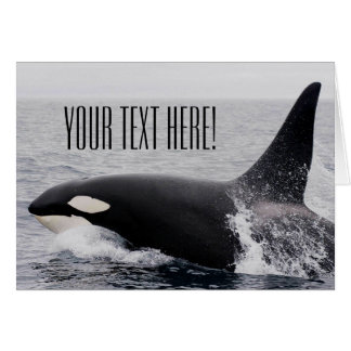 Orca Killer Whale Breaching Surface Custom Text Cards