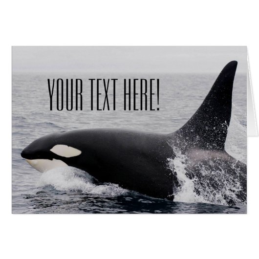 Orca Killer Whale Breaching Surface Custom Text Cards (Front Horizontal)