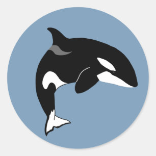 Orca Killer Whale  Classic Round Sticker