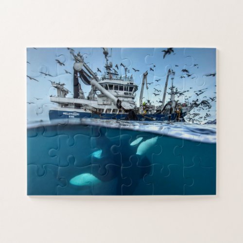 Orca Killer Whale Commercial Fishing Boat Ocean Jigsaw Puzzle