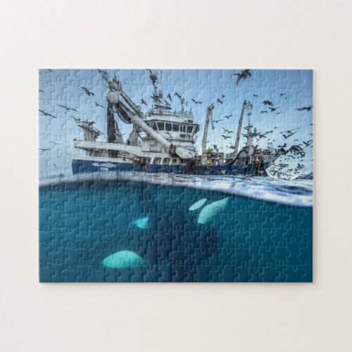 Orca Killer Whale Commercial Fishing Boat Ocean Jigsaw Puzzle