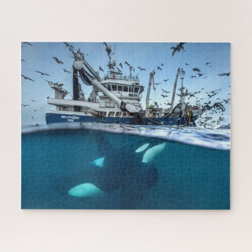 Orca Killer Whale Commercial Fishing Boat Ocean Jigsaw Puzzle