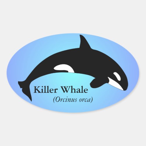 Orca Killer Whale Gradient Blue Oval Sticker