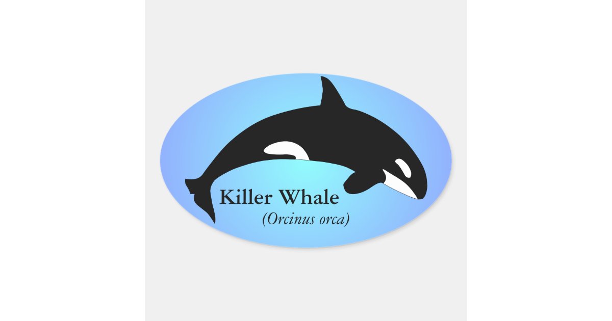 Orca Killer Whale Gradient Blue Oval Sticker