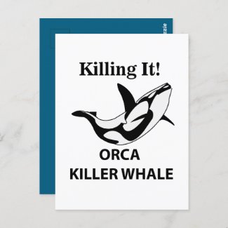 Orca Killer Whale Killing It Funny