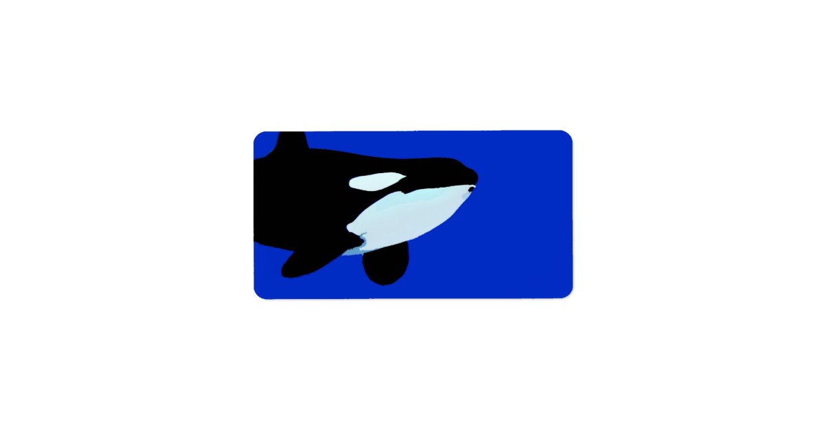 orca killer whale underwater graphic label | Zazzle