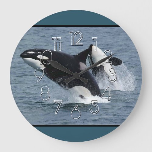 Orca Killer Whales Breaching Large Clock