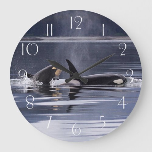 Orca  Killer Whales Breaching Large Clock