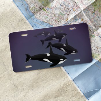Orca License Plate Killer Whale License Customized by artist_kim_hunter at Zazzle