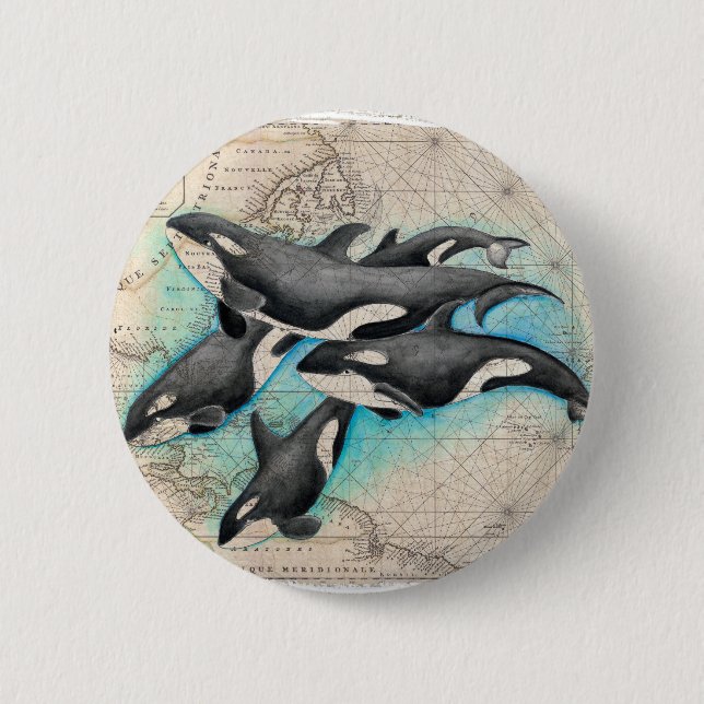 Orca Map Atlas Pinback Button (Front)