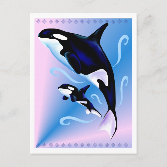 Orca Mom and Baby Postcard (Front)