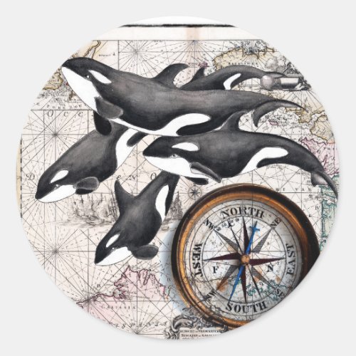 Orca Nautical Compass Classic Round Sticker
