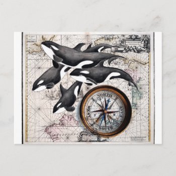 Orca Nautical Compass Postcard by EveyArtStore at Zazzle