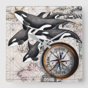 Orca Nautical Compass Square Wall Clock