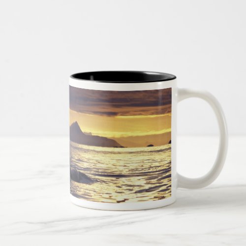 Orca or Killer whales Two_Tone Coffee Mug