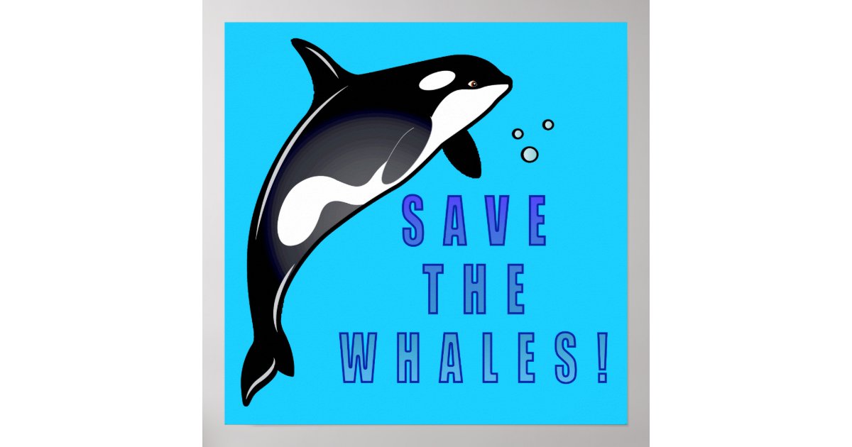 Orca: Save the Whales! Poster | Zazzle