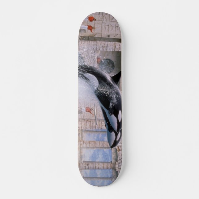 Orca Skateboard Deck (Front)