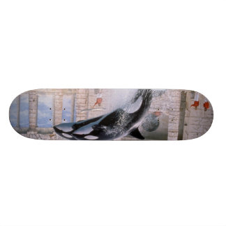 Orca Skateboard Deck