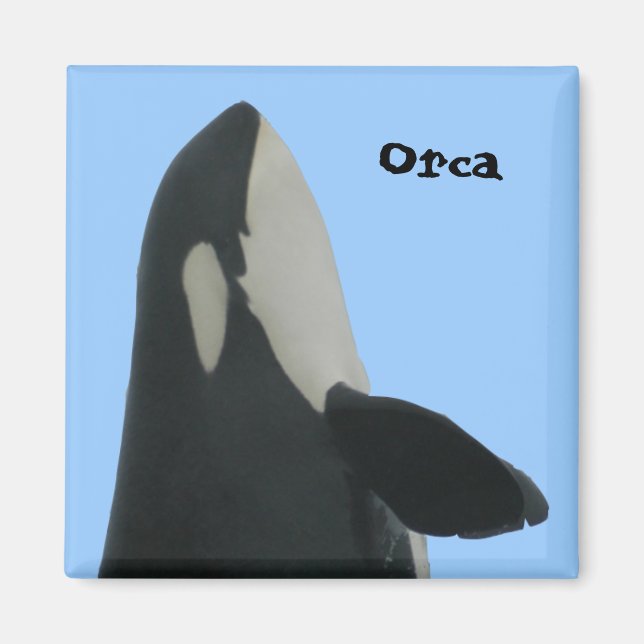 Orca Spyhop Magnet (Front)