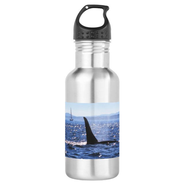 Orca Stainless Steel Water Bottle (Front)