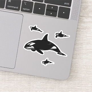 Orca Sticker