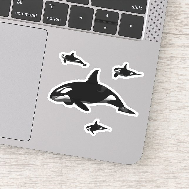 Orca Sticker (Detail)
