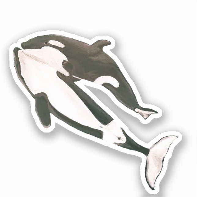 Orca  sticker (Front)