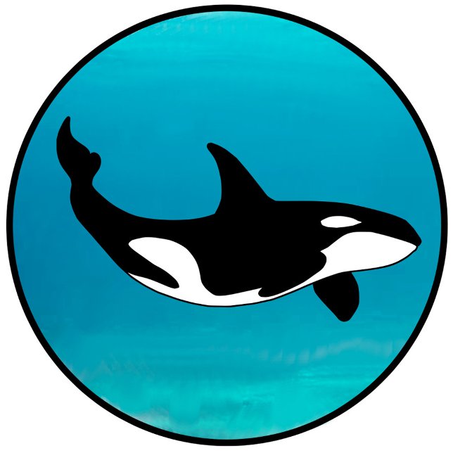 Orca T-Shirt (Creator Uploaded)