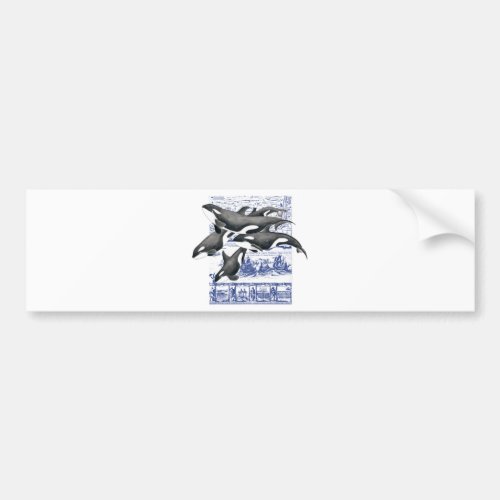 Orca Vintage Map II Bumper Sticker