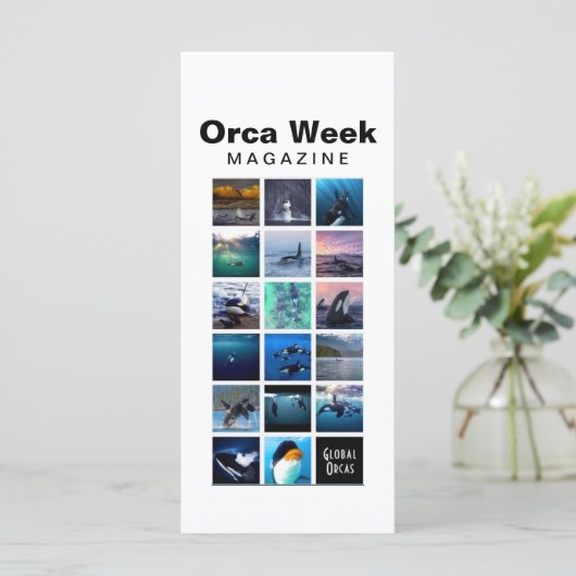 Orca Week Magazine card (Standing Front)