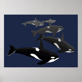 Orca Whale Art Poster Killer Whale Art Prints Gift