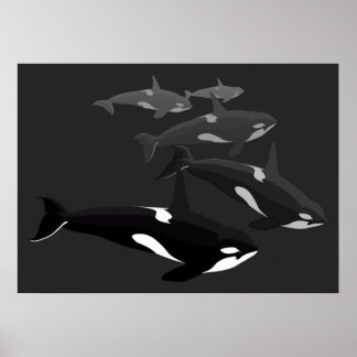 Orca Whale Art Poster Killer Whale Printed Canvas
