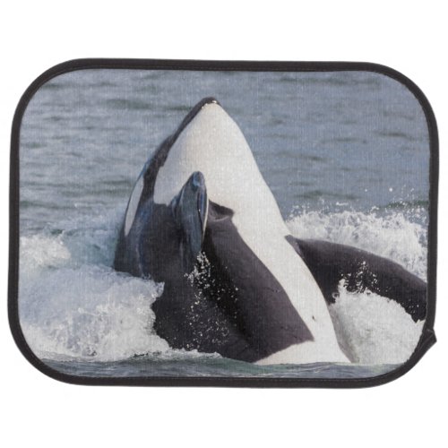 Orca whale breaching car floor mat
