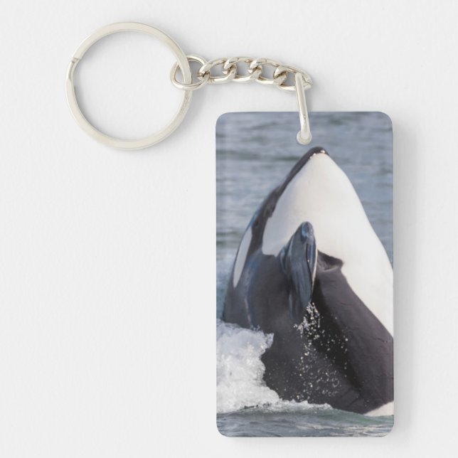 Orca whale breaching keychain (Front)