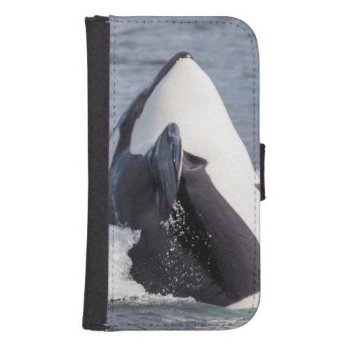 Orca whale breaching phone wallet