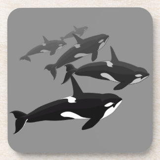 Orca Whale Coasters Killer Whale Art Drink Coaster