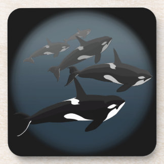 Orca Whale Coasters Killer Whale Art Drink Coaster
