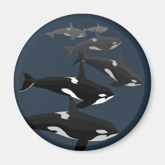 Orca Whale Fridge Magnet Killer Whale Art Magnets