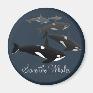 Orca Whale Fridge Magnet Killer Whale Art Magnets